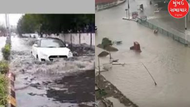 Nine inches of rain fell in 124 talukas in Gujarat in 24 hours in Khergam of Meghmeher, Valsad.
