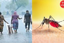 Epidemics worsened during monsoon in Ahmedabad, cases of viral infections including dengue, fever increased