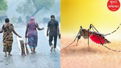 Epidemics worsened during monsoon in Ahmedabad, cases of viral infections including dengue, fever increased