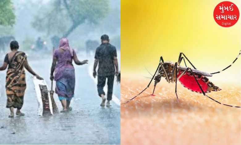 Epidemics worsened during monsoon in Ahmedabad, cases of viral infections including dengue, fever increased