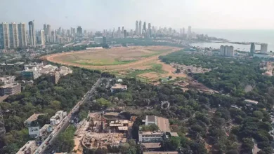 BMC Asks Suggestions From Mumbaikars For Central Park