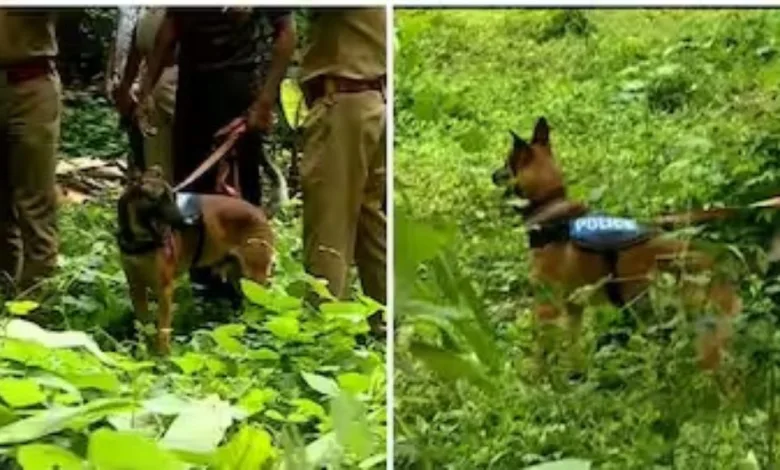 Keral police sniffer dogs 'Murphy' and 'Maya' help in rescue operation in Wayanad