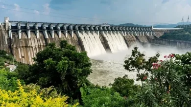 28,464 cusecs of water was released from Sardar Sarovar Dam