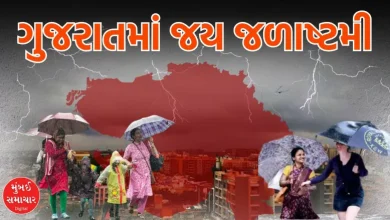 Jalashtami in Gujarat: Heavy rains in more than 230 talukas, schools closed tomorrow