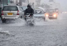 Light showers may occur in Gujarat for the next seven days, this is the percentage of the season's rainfall