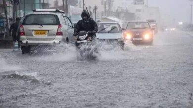 Light showers may occur in Gujarat for the next seven days, this is the percentage of the season's rainfall