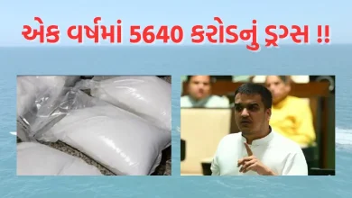 Drugs worth 5640 crores seized in one year in Gujarat