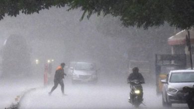 Three systems active over Gujarat, heavy rain predicted till August 28...