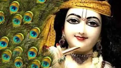 Janmashtami special: If you use peacock feather like this, Shri Krishna will remove all planetary doshas