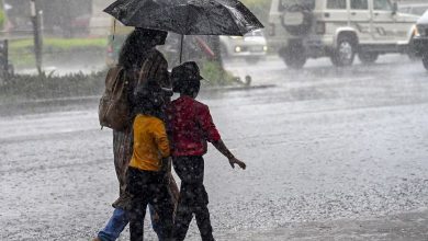 Monsoon 2024: Orange alert for rain in 12 states of the country, heavy rain forecast in Maharashtra and Gujarat