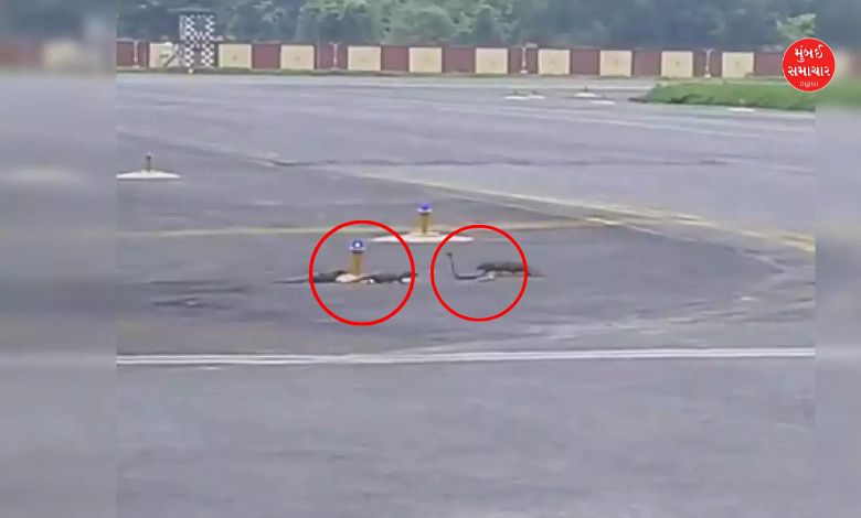 Something happened on the runway at Patna Airport that...