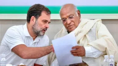 rahul-gandhi-mallikarjun-kharge-kashmir-election