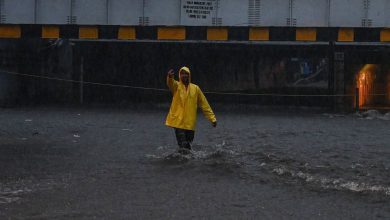 Monsoon 2024: Heavy rain forecast in 22 states of the country, red alert in Gujarat and yellow alert in Maharashtra