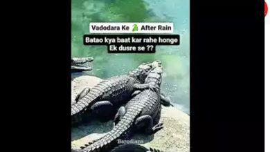 Vadodarawas have no fear of crocodiles, funny mims of crocodiles on social media ...