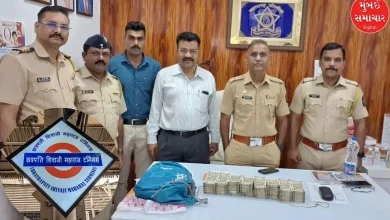 20 lakh cash bag found in local train of Mumbai