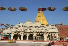 A flood of devotees in Ambaji, 9.88 lakh devotees visited in three days