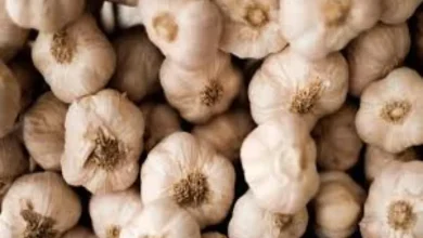 Auction of garlic in marketyards closed tomorrow in protest against Chinese garlic infiltration