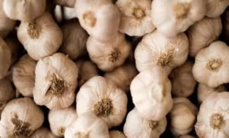 Auction of garlic in marketyards closed tomorrow in protest against Chinese garlic infiltration