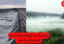 Bhavnagar got drenched and Saurashtra's biggest dam overflowed