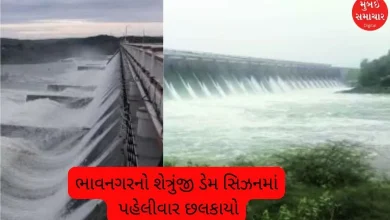 Bhavnagar got drenched and Saurashtra's biggest dam overflowed