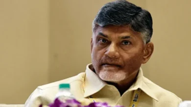 chandrababu naidu alleges animal fat used in tirumala laddu during ysrcp govt