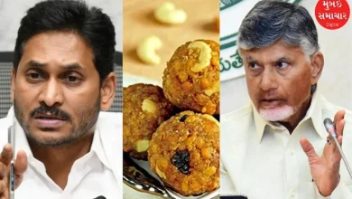 Former CM Jagan Mohan Reddy wrote to PM on Tirupati Laddu issue, said that...