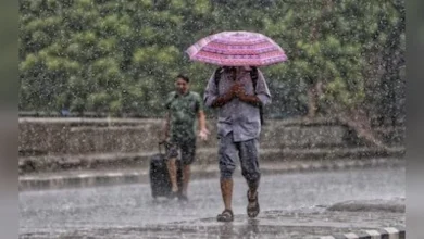 In Gujarat, rain forecast again during the departure of Monsoon, will lash South Gujarat