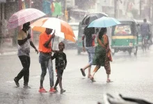 Rain forecast in central and south Gujarat for next two days in Gujarat