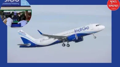 Indigo flight canceled after hours of delay due to technical glitch, passengers created chaos