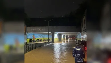 Heavy rains shut down MMRCL-built Aray Forest Subway people stranded