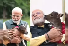 Meet PM Modi's new family member, ‘Deepjyoti’