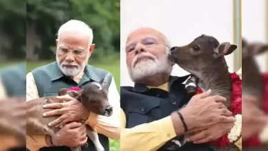 Meet PM Modi's new family member, ‘Deepjyoti’