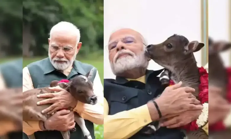 Meet PM Modi's new family member, ‘Deepjyoti’