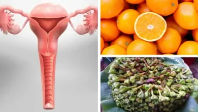 An illustration of a healthy uterus or a photo of a woman maintaining a healthy lifestyle