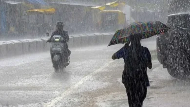 Rain in 133 talukas in last 24 hours in Gujarat, rain started in Patan from early morning today