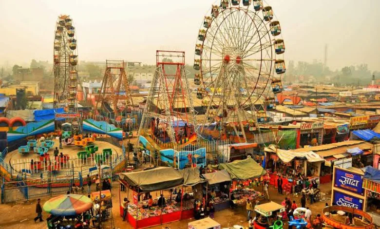 A colorful pictorial history of the world famous Tannetar Mela