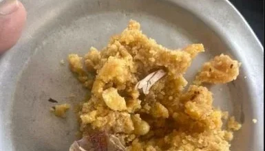 Tirupati Laddu Prasad Claims Tobacco Found Amid Animal Fat Controversy, Devotee Shares Photo