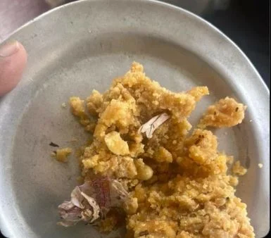 Tirupati Laddu Prasad Claims Tobacco Found Amid Animal Fat Controversy, Devotee Shares Photo