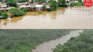 Vadodara city faces flash floods again, Vishwamitri river nears danger level