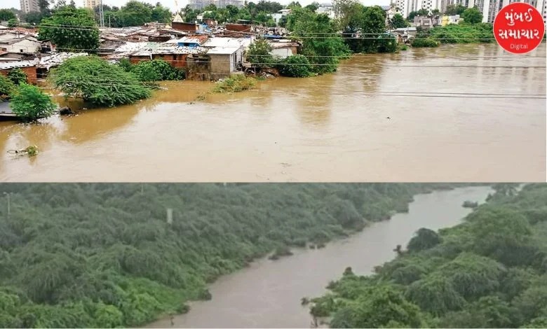 Vadodara city faces flash floods again, Vishwamitri river nears danger level