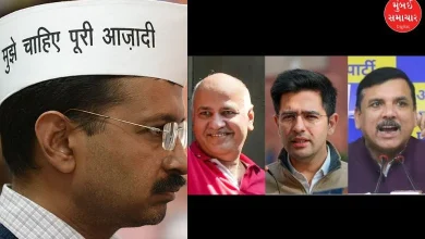 Welcome Back, Kejriwal AAP leaders and activists cheer, find out who said what