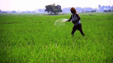 Take action against gross negligence and corruption in Farmer Producer Organizations (FPO)-Manhar Patel