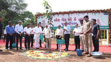 Start of 10th phase of Sewasetu in Gujarat:: Govt name only Susasan