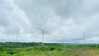 Gujarat ranks first in the country in wind energy production capacity