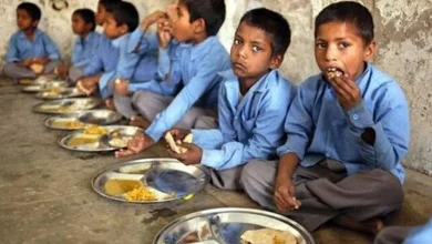 Worm-infested inedible chickpeas served in the mid-day meal of Abdasa Primary School