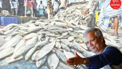 Bangladesh will now please India by sending 3000 tonnes of fish; Government has announced...