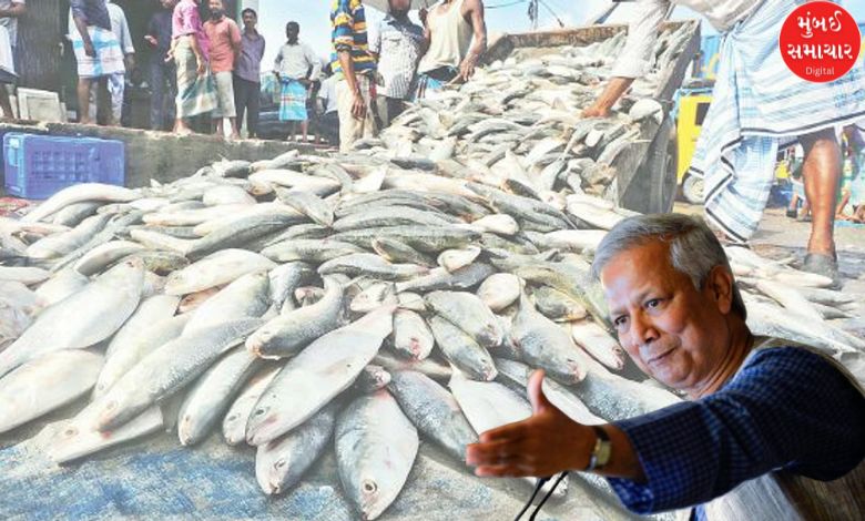 Bangladesh will now please India by sending 3000 tonnes of fish; Government has announced...