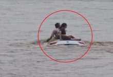 Disaster averted in Gujarat: Car drowns in river in Sabarkantha, video goes viral