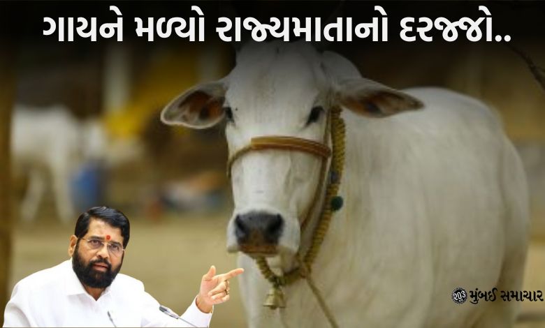 Maharashtra Govt. issue order declaring cow Rajyamata