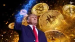 bitcoin and crypto prices affected by us election, graph showing fluctuations